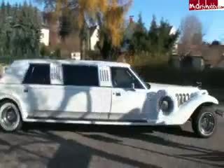 Limo Sex Party
