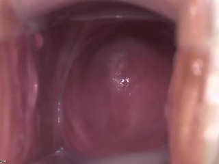 Inside Vagina
