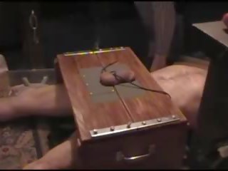 Cock Torture in Trample Box, Free Whipping Porn Video 1b